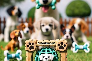 Інтерактивні іграшки для собак Outward Hound фото