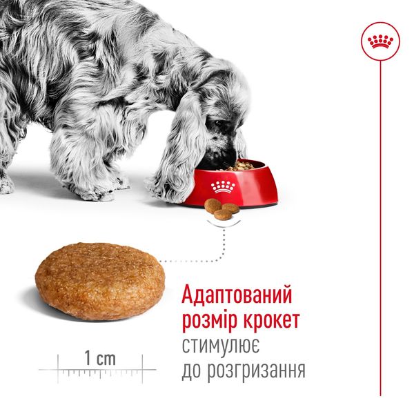 Корм Royal Canin Medium Adult сухий для дорослих собак середніх порід 15 кг 3182550402217 фото