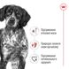 Корм Royal Canin Medium Adult сухий для дорослих собак середніх порід 15 кг 3182550402217 фото 2