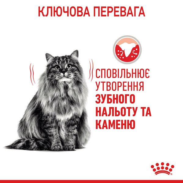 Royal Canin Dental Care сухой корм для здоровья ротовой полости и зубов у котов 400 гр 3182550717175 фото