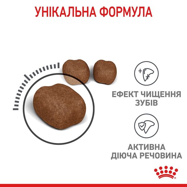 Royal Canin Dental Care сухий корм для здоров'я ротової порожнини та зубів у котів 400 гр 3182550717175 фото