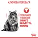 Royal Canin Dental Care сухой корм для здоровья ротовой полости и зубов у котов 1.5 кг 3182550717182 фото 6