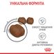 Royal Canin Dental Care сухой корм для здоровья ротовой полости и зубов у котов 1.5 кг 3182550717182 фото 7