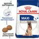 Royal Canin Maxi Adult 5+ сухой корм для взрослых собак крупных пород 15 кг 3182550402316 фото 2