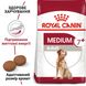 Royal Canin Medium Adult 7+ сухой корм для пожилых собак средних пород 4 кг 3182550708203 фото 3