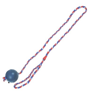 Іграшка для собак Flamingo Ball With Rope, 6 см 5400274666578 фото