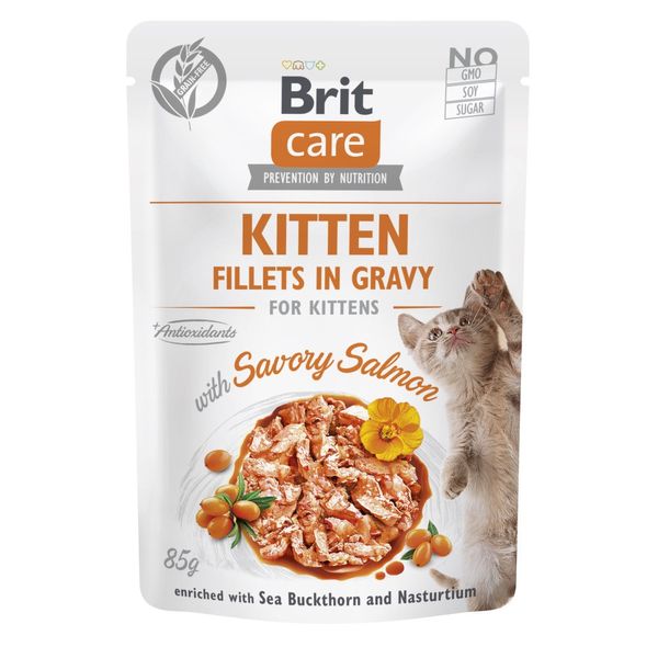 Brit Care Cat Fillets in Gravy вологий корм для кошенят з лососем 85 гр 8595602565313 фото