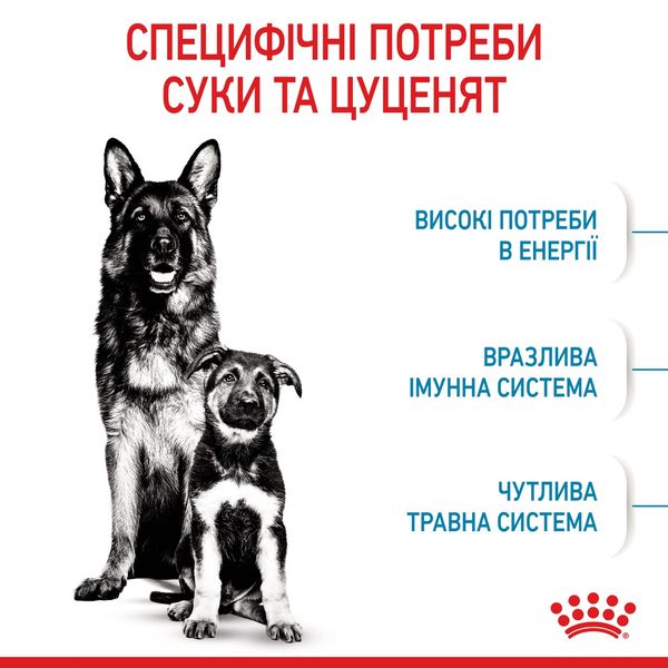 Royal Canin Maxi Starter сухой корм для щенят крупных пород 4 кг 1 178 грн фото