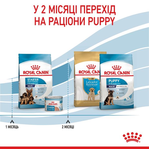 Royal Canin Maxi Starter сухой корм для щенят крупных пород 4 кг 1 178 грн фото