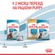 Royal Canin Maxi Starter сухой корм для щенят крупных пород 4 кг 3182550778770 фото 7