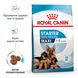 Royal Canin Maxi Starter сухой корм для щенят крупных пород 4 кг 3182550778770 фото 2