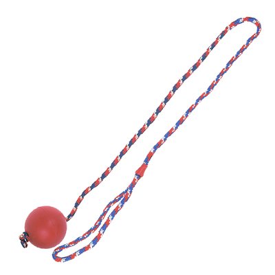 Іграшка для собак Flamingo Ball With Rope, 7 см 5400274666585 фото