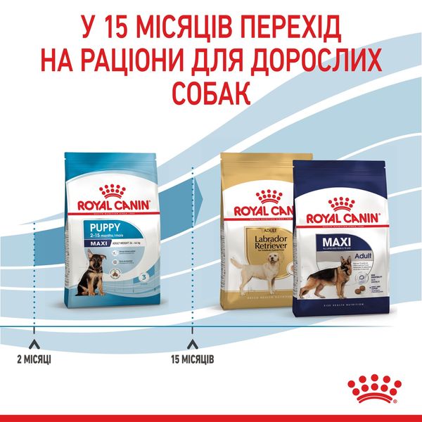 Royal Canin Maxi Puppy сухой корм для щенят крупных пород 4 кг 1 083 грн фото