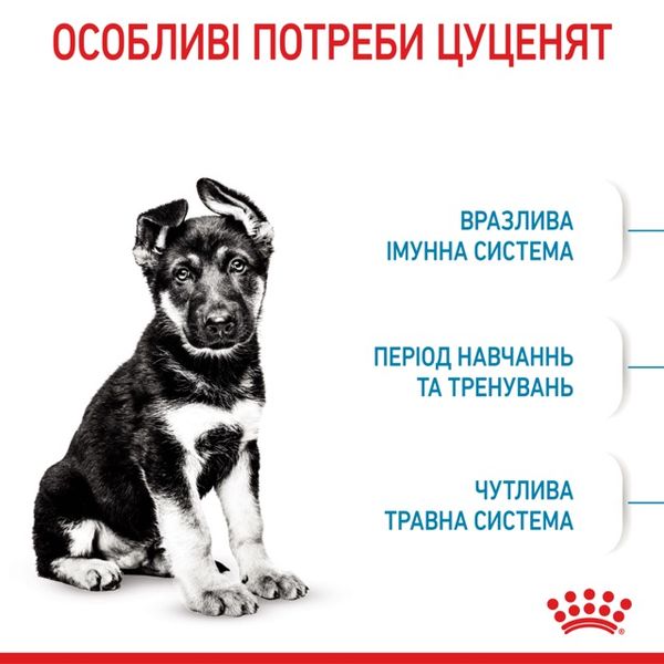 Корм Royal Canin Maxi Puppy сухой для щенят крупных пород 15 кг 3182550402163 фото