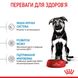 Корм Royal Canin Maxi Puppy сухий для цуценят великих порід 15 кг 3182550402163 фото 5