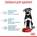 Royal Canin Maxi Puppy сухой корм для щенят крупных пород 4 кг 3182550402149 фото 4