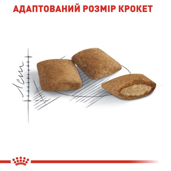 Royal Canin Ageing 12+ сухой корм для пожилых кошек 2 кг 3182550786218 фото