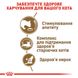 Royal Canin Ageing 12+ сухий корм для кішок похилого віку 2 кг 3182550786218 фото 4