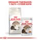 Royal Canin Ageing 12+ сухий корм для кішок похилого віку 2 кг 3182550786218 фото 6