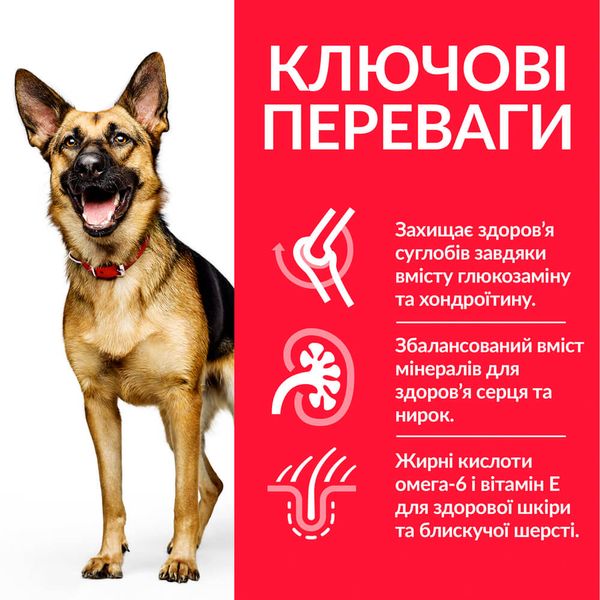 Hill's SP Canine Mature Adult Large Breed сухий корм з куркою для старіючих собак великих порід 14 кг 052742025926 фото