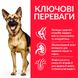 Hill's SP Canine Mature Adult Large Breed сухой корм с курицей для стареющих собак крупных пород 14 кг 052742025926 фото 2