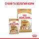 Royal Canin Pomeranian Adult сухий корм для собак породи померанський шпіц 0.5 кг 3182550908436 фото 4