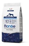 купить Monge Dog Medium Starter сухий корм для цуценят середніх порід 1.5 кг 8009470011600 фото