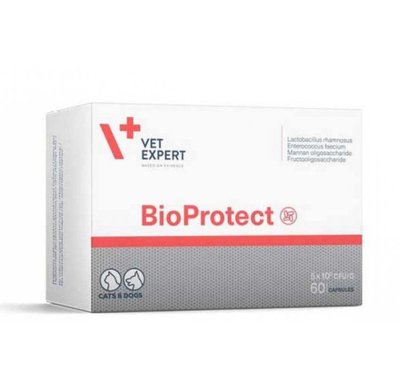 Харчова добавка VetExpert BioProtect при порушеннях роботи ШКТ у котів та собак 60 табл 5907752658440 фото