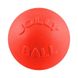 Игрушка для собак JOLLY PETS BOUNCE-N-PLAY оранжевый, 18 см 0788169250862 фото