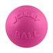 Іграшка для собак JOLLY PETS BOUNCE-N-PLAY рожевий, 18 см 0788169250879 фото