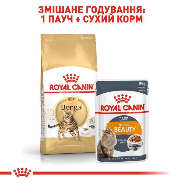 Royal Canin Bengal Adult сухий корм для бенгальських котів 2 кг 3182550864091 фото