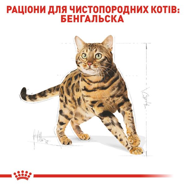 Royal Canin Bengal Adult сухий корм для бенгальських котів 2 кг 3182550864091 фото