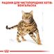 Royal Canin Bengal Adult сухой корм для бенгальских котов 2 кг 3182550864091 фото 3