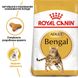 Royal Canin Bengal Adult сухий корм для бенгальських котів 2 кг 3182550864091 фото 2