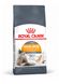 Royal Canin Hair & Skin Care сухий корм для здоров'я шкіри та краси вовни у котів 400 гр 3182550721721 фото 1