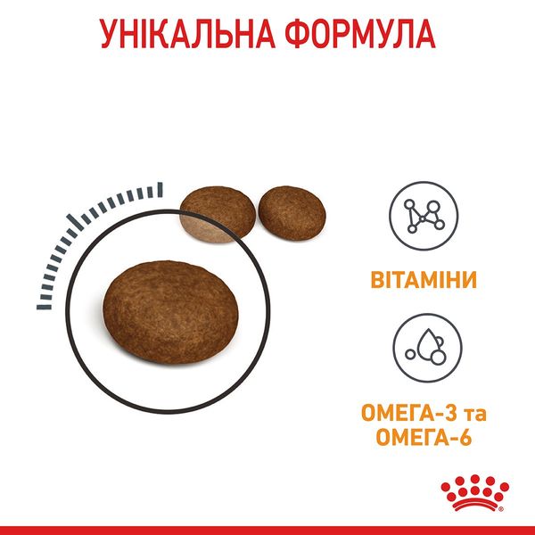 Royal Canin Hair & Skin Care сухий корм для здоров'я шкіри та краси вовни у котів 400 гр 238 грн фото