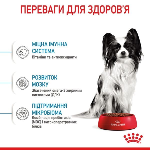 Royal Canin X-Small Puppy сухой корм для щенков малых пород 0.5 кг 218 грн фото