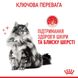 Royal Canin Hair & Skin Care сухий корм для здоров'я шкіри та краси вовни у котів 400 гр 3182550721721 фото 6