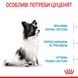 Royal Canin X-Small Puppy сухой корм для щенков малых пород 0.5 кг 3182550793568 фото 3