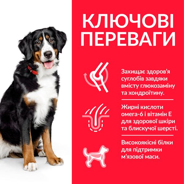 Hill's SP Canine Adult Large Breed Chicken сухой корм с курицей для взрослых собак крупных и гигантских пород 14 кг 052742026077 фото