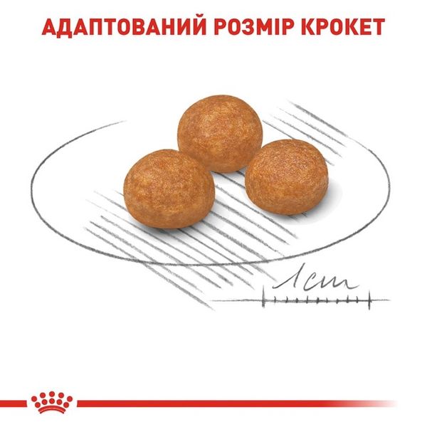 Royal Canin X-Small Adult сухий корм для дорослих собак дрібних порід 0.5 кг 3182550793704 фото