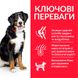 Hill's SP Canine Adult Large Breed Chicken сухой корм с курицей для взрослых собак крупных и гигантских пород 14 кг 052742026077 фото 2