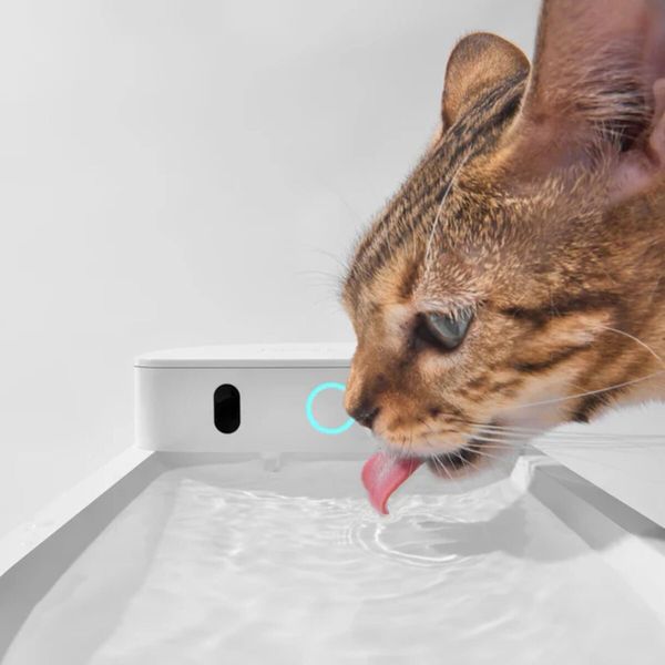 Catlink AI Water Fountain - Wireless смарт-поилка для котов и собак, 2.3 л 6972884750873 фото