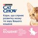 Cat Chow Kitten сухой корм для котят с курицей 15 кг 5997204514028 фото 3