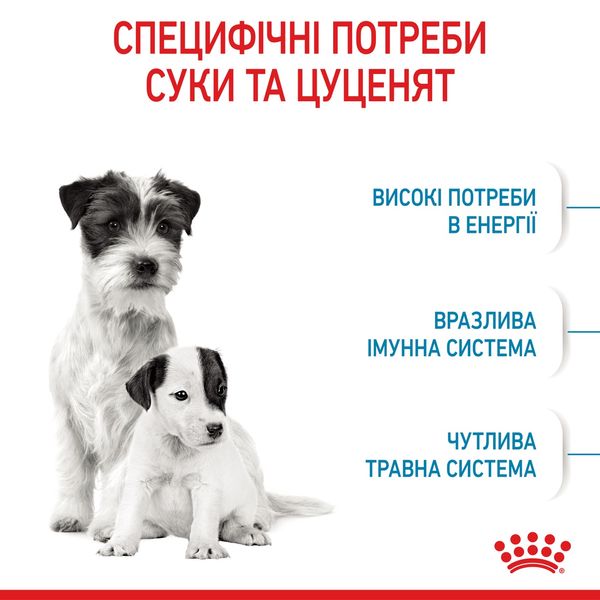 Royal Canin Mini Starter сухой корм для щенков и беременных и кормящих собак 8 кг 2 546 грн фото