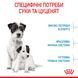 Royal Canin Mini Starter сухой корм для щенков и беременных и кормящих собак 8 кг 3182550932691 фото 4