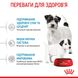 Royal Canin Mini Starter сухой корм для щенков и беременных и кормящих собак 8 кг 3182550932691 фото 5