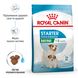 Royal Canin Mini Starter сухой корм для щенков и беременных и кормящих собак 8 кг 3182550932691 фото 3