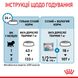 Royal Canin Mini Starter сухой корм для щенков и беременных и кормящих собак 8 кг 3182550932691 фото 9