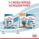 Royal Canin Mini Starter сухой корм для щенков и беременных и кормящих собак 8 кг 3182550932691 фото 7